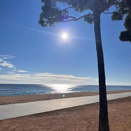 Penthouse In Platja D Aro Front Sea With Parking Apartment